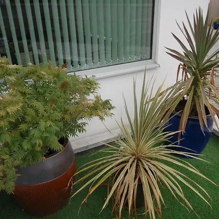 빌라 Maple Gardens