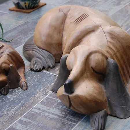 Maple Gardens * Church Fenton